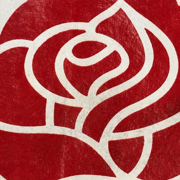 Vintage Tournament of Roses Centennial Sweatshirt Women's Large 1989 Rose Bowl - Picture 5 of 15